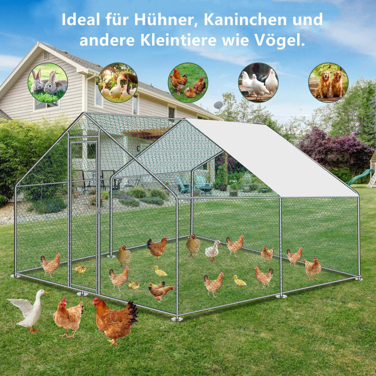 Chicken coop metal outdoor enclosure with roof tarpaulin 3*4*2m