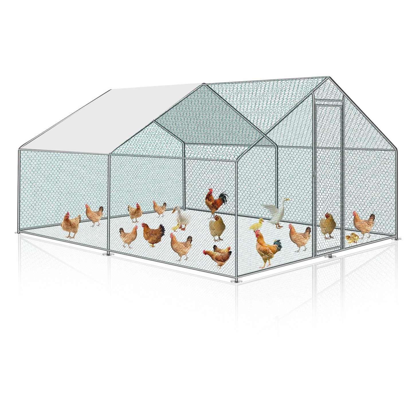 Chicken coop metal outdoor enclosure with roof tarpaulin 3*4*2m