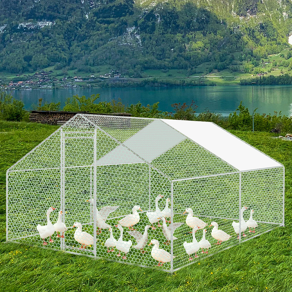 Chicken coop metal outdoor enclosure with roof tarpaulin 3*4*2m